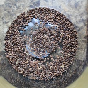 Cardamom Seed