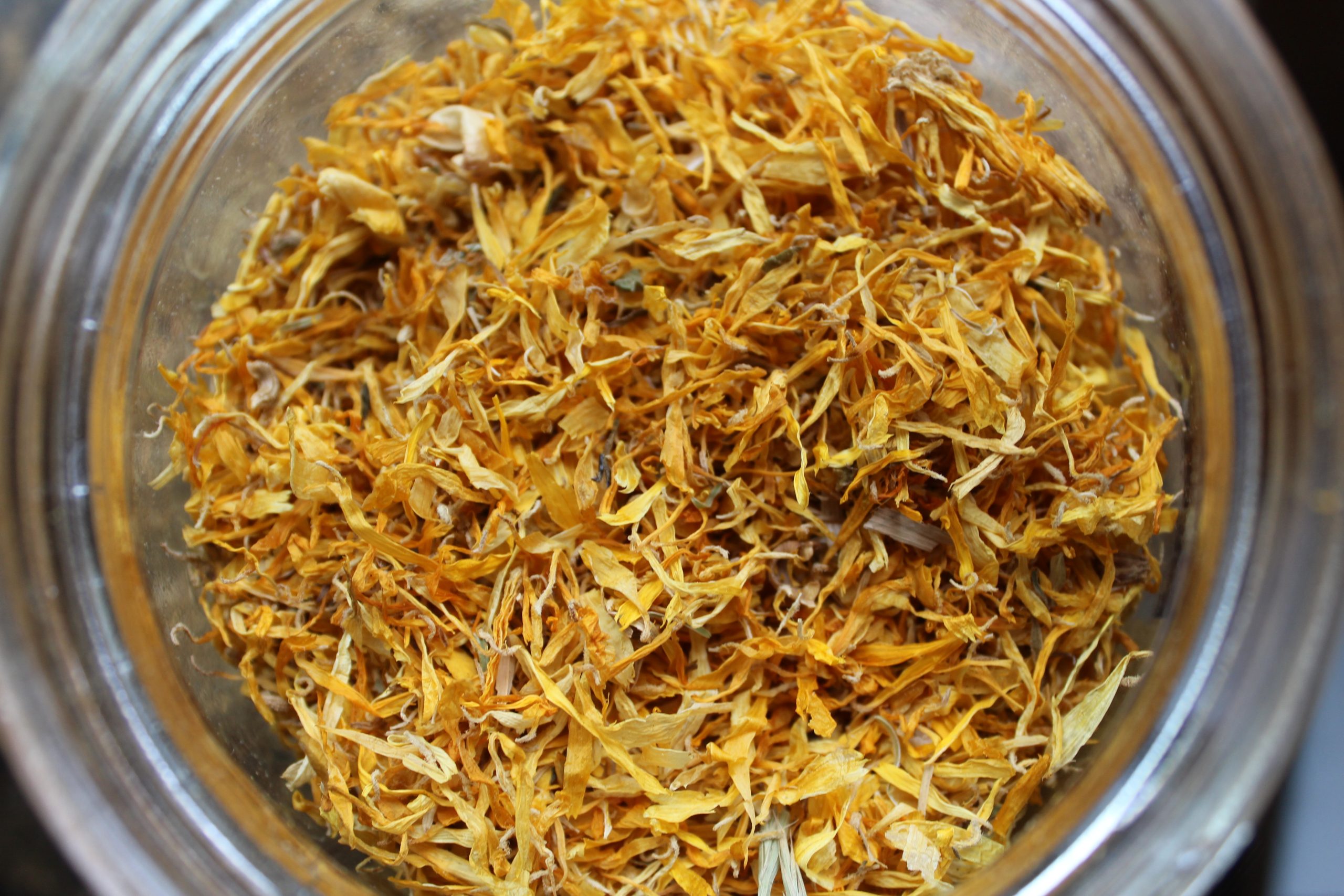 Calendula Flower