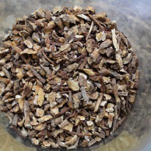 Dong Quai Root