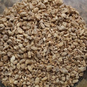 Ginger Root