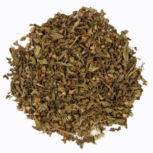 Holy Basil (Tulsi) Leaves