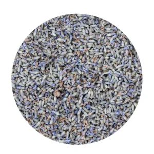 French Lavender Flowers
