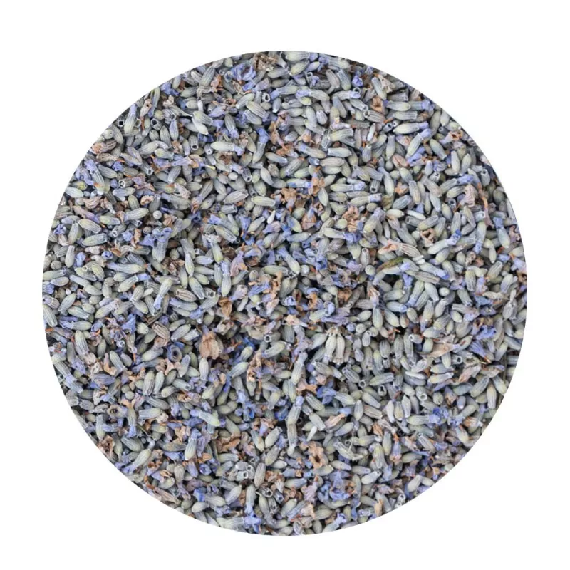 French Lavender Flowers