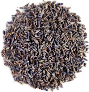 English Lavender Flowers