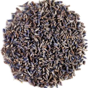 English Lavender Flowers