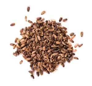 Milk Thistle Seeds