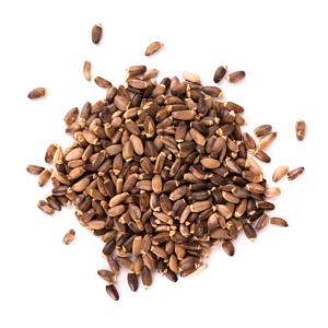 Milk Thistle Seeds
