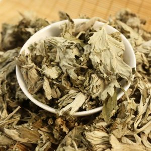 Mugwort