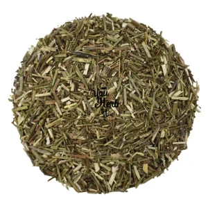 Vervain